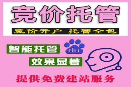 信息流广告代运营公司实战案例分析
